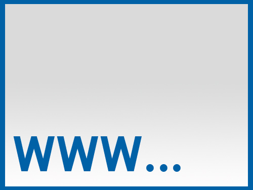 Sicherheit im Netz