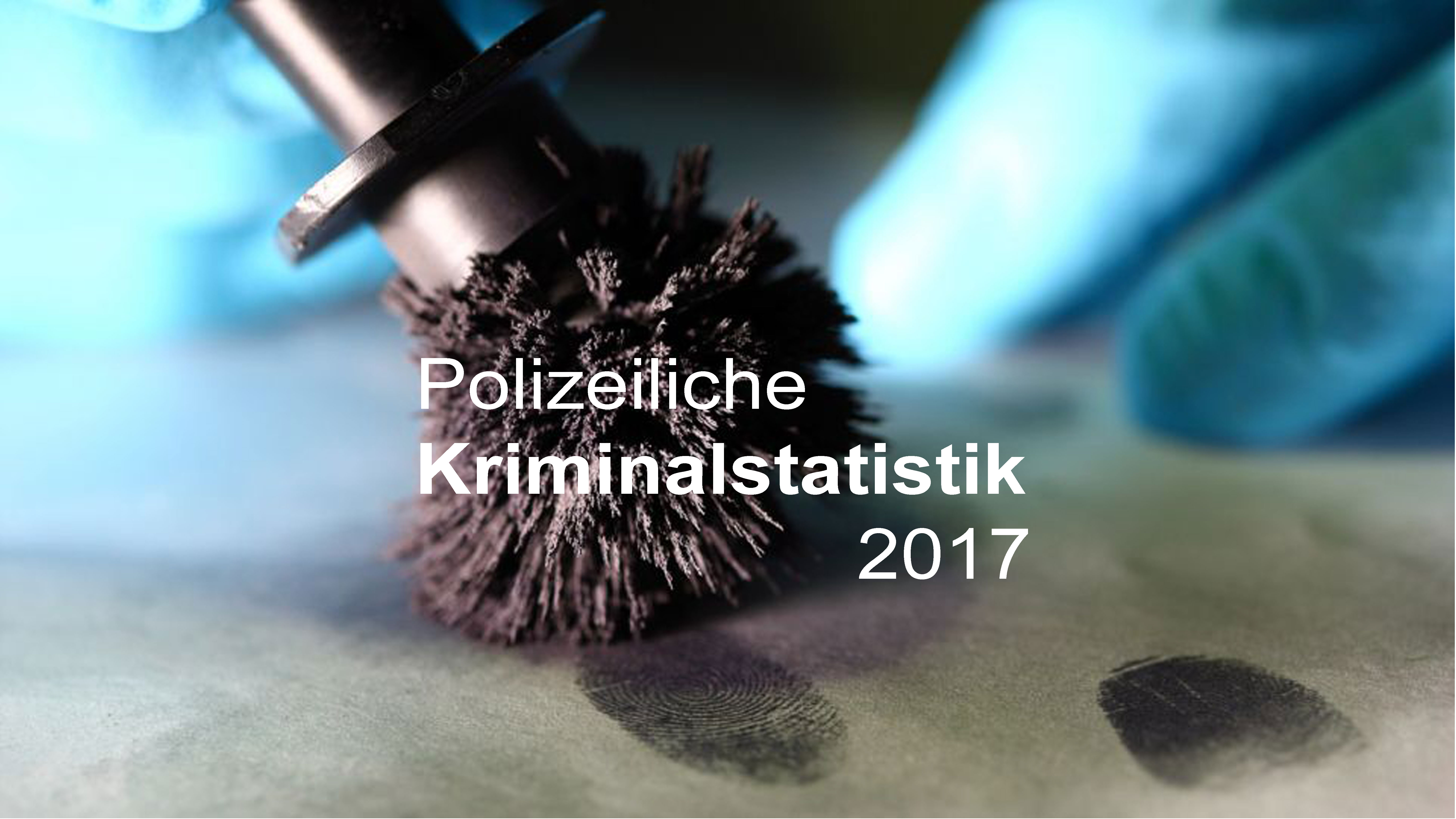 Polizeiliche Kriminalstatistik 2017