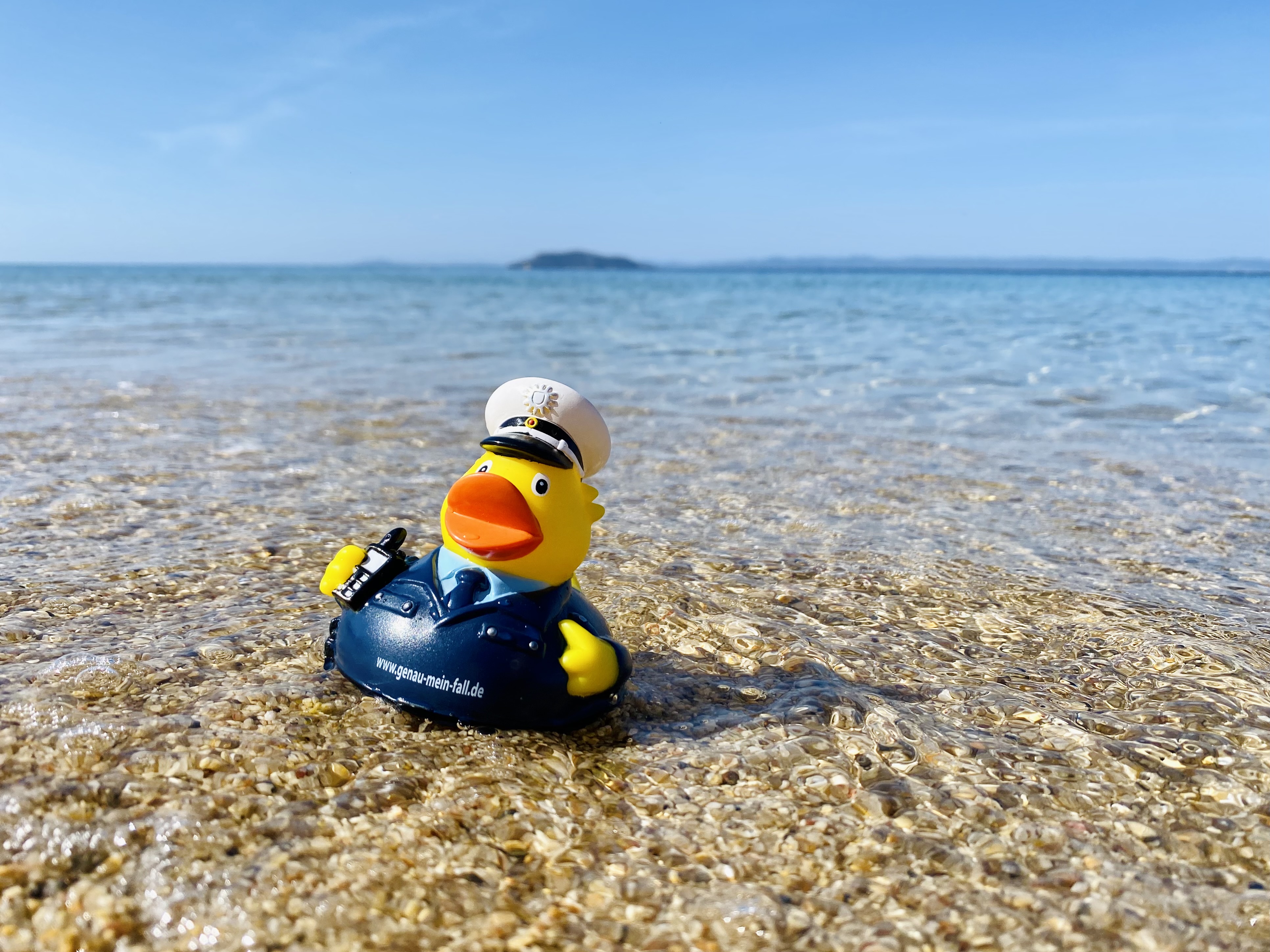 Duck on vacation
