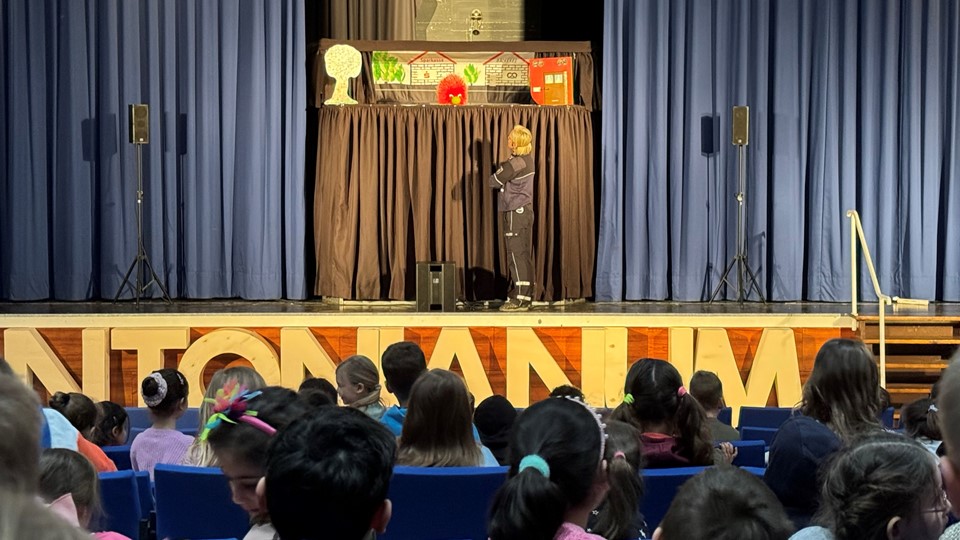 Puppet stage