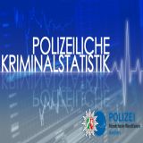  Polizeiliche Kriminalstatistik