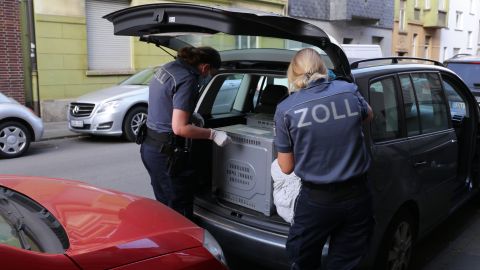 A look into the trunk: customs officers on duty
