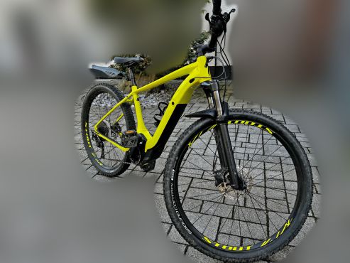 Foto des gestohlenen E-Bikes