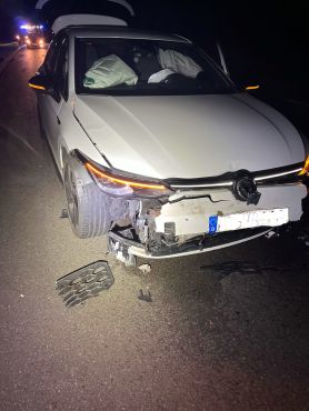 Auto nach Kollision mit Wildschweinen stark beschädigt