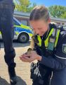 Tierischer Einsatz